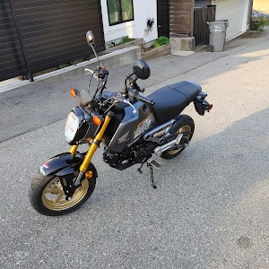 pacific motorcycle and bike rental place picture